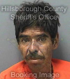 Andrade Noe - Hillsborough County, Florida 