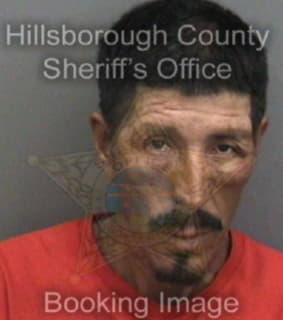 Arzola Armando - Hillsborough County, Florida 