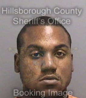 Mchayle Errol - Hillsborough County, Florida 