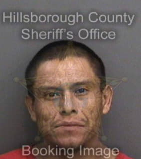 Vegahernandez Fernando - Hillsborough County, Florida 