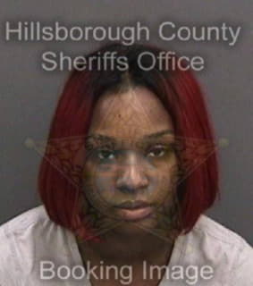 Ray Ollie - Hillsborough County, Florida 