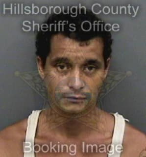 Diaz Javier - Hillsborough County, Florida 