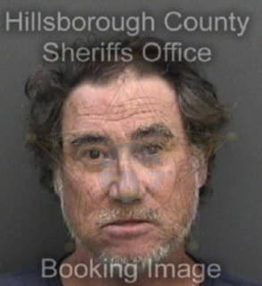 Rendahl Michael - Hillsborough County, Florida 