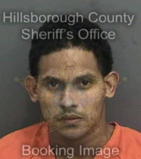 Cruz Pedro - Hillsborough County, Florida 