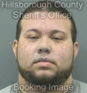 Alvarez Carlos - Hillsborough County, Florida 