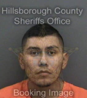 Bartoloncastillo Julio - Hillsborough County, Florida 