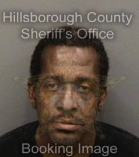 Lawson Darrell - Hillsborough County, Florida 