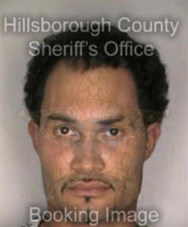 Robles Felix - Hillsborough County, Florida 