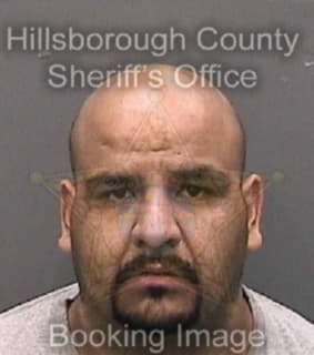 Rivera Joaquin - Hillsborough County, Florida 