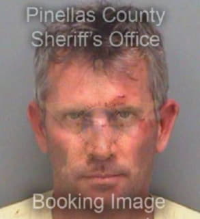 Brenner Michael - Pinellas County, Florida 