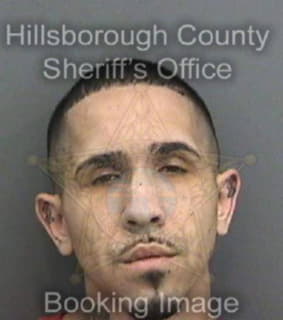 Cintron Miguel - Hillsborough County, Florida 