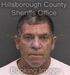 Llera Nestor - Hillsborough County, Florida 