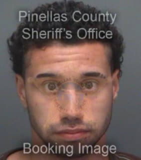 Gomez Anthony - Pinellas County, Florida 