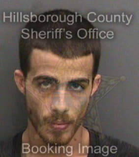 Aldrich Dustin - Hillsborough County, Florida 