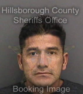 Martinez Helmut - Hillsborough County, Florida 