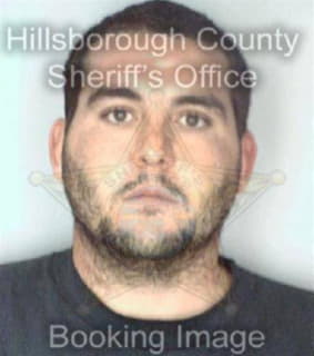 Dellanini John - Hillsborough County, Florida 