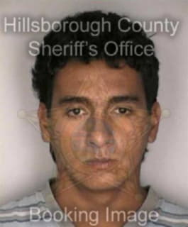 Martinezbelacazar Alexander - Hillsborough County, Florida 