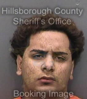 Lopez Justin - Hillsborough County, Florida 