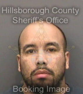 Perez Pedro - Hillsborough County, Florida 