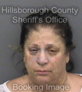 Mcintosh Denise - Hillsborough County, Florida 