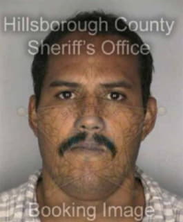 Melendez Henery - Hillsborough County, Florida 