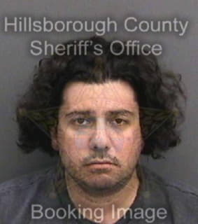 Ricatti Mario - Hillsborough County, Florida 