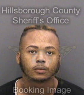 Brandon Sirree - Hillsborough County, Florida 