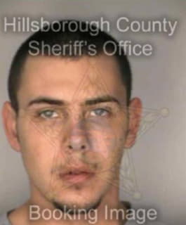 Renney Steven - Hillsborough County, Florida 