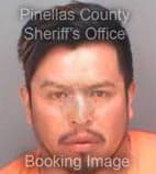 Martinezaguilar Cesar - Pinellas County, Florida 