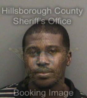 Robinson Nicholas - Hillsborough County, Florida 