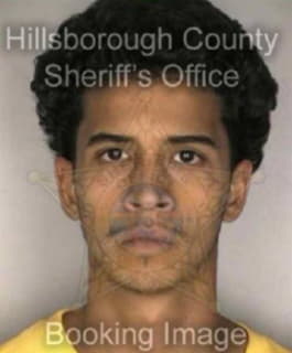 Perez Raymond - Hillsborough County, Florida 