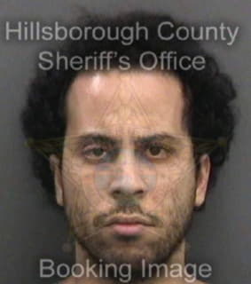 Collazo Daniel - Hillsborough County, Florida 