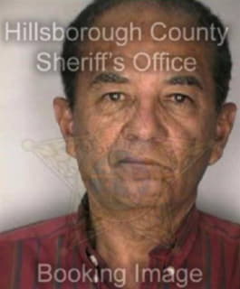 Roldan Luis - Hillsborough County, Florida 