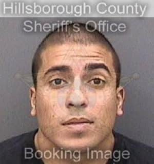 Rivas Anthony - Hillsborough County, Florida 