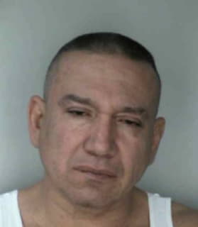 Delgado Galo - Hillsborough County, Florida 