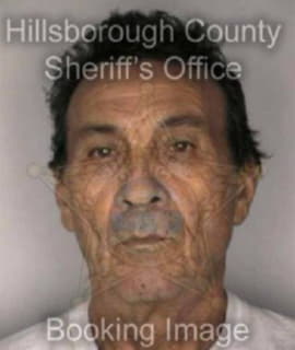 Villafane Jesus - Hillsborough County, Florida 