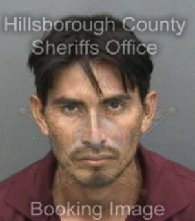 Lopezvelazquez Marcelino - Hillsborough County, Florida 