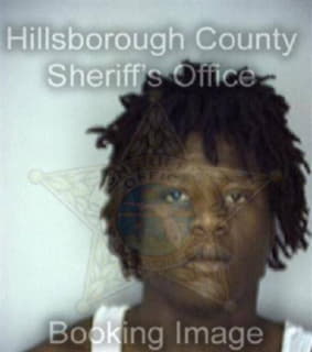 Davis Reginald - Hillsborough County, Florida 