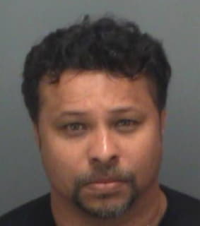 Matos Reilly - Pinellas County, Florida 