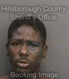 Bolton Samuel - Hillsborough County, Florida 