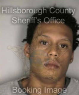 Tucker Izaah - Hillsborough County, Florida 