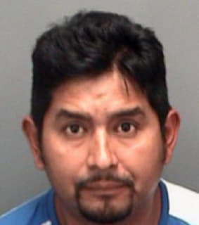 Hernandez Jorge - Pinellas County, Florida 