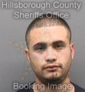 Campos Sergio - Hillsborough County, Florida 