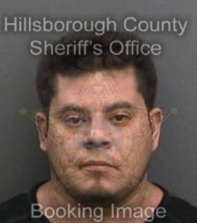 Aliaga Julio - Hillsborough County, Florida 