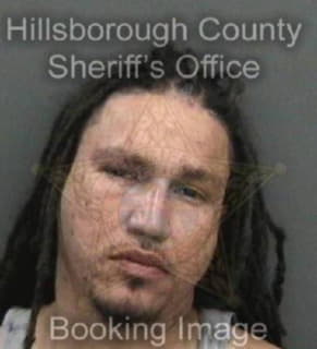 Carmona Francisco - Hillsborough County, Florida 