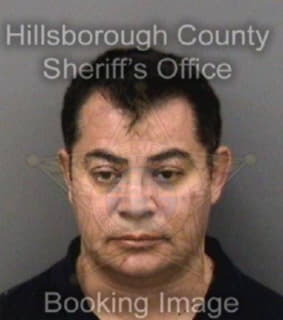 Arreola Luis - Hillsborough County, Florida 