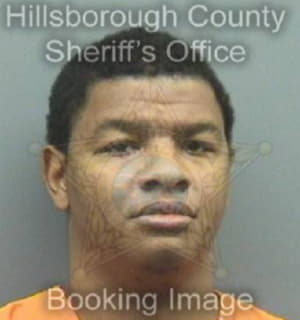 Mitchell Xavier - Hillsborough County, Florida 