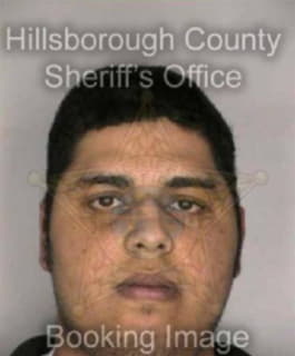 Borrely Gustavo - Hillsborough County, Florida 