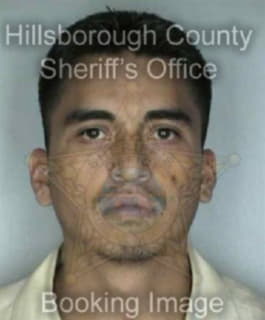 Argudo Jorge - Hillsborough County, Florida 