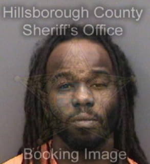 Williams Rodney - Hillsborough County, Florida 